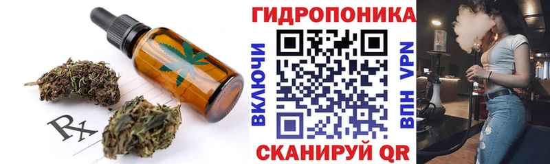 Купить закладки  Волхов  Еда ТГК конопля 