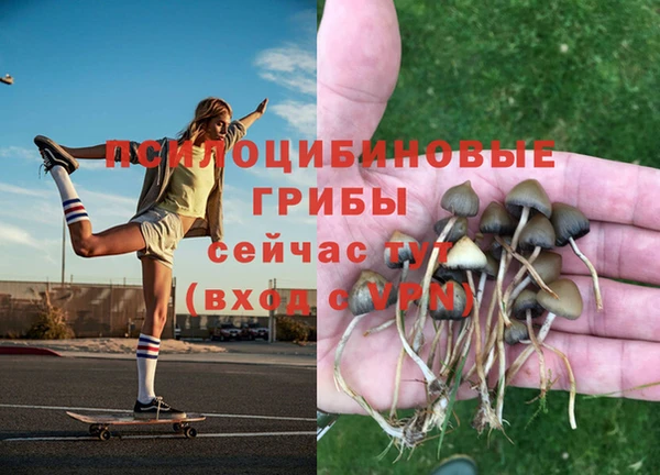 герыч Аркадак