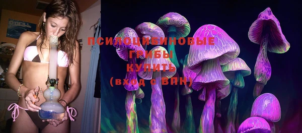 прущая мука Арсеньев