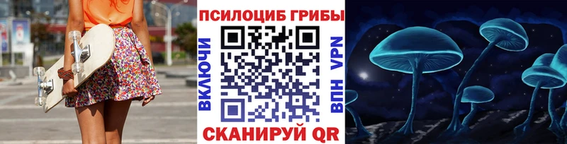 Купить  Волхов  Галлюциногенные грибы MAGIC MUSHROOMS 
